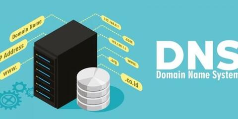 DNS DNS