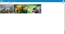 Nextcloud gallery